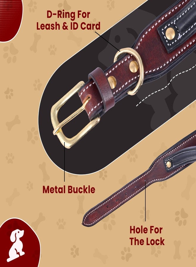 ADIL's Multicolor Handle Dog Collar For Medium & Large Dogs, Adjustable Heavy Duty Leather Dog Collar With Strong Metal D-Ring, Neck Size : Xl, Marron,15 cm,W_3.9 cm - Image 2